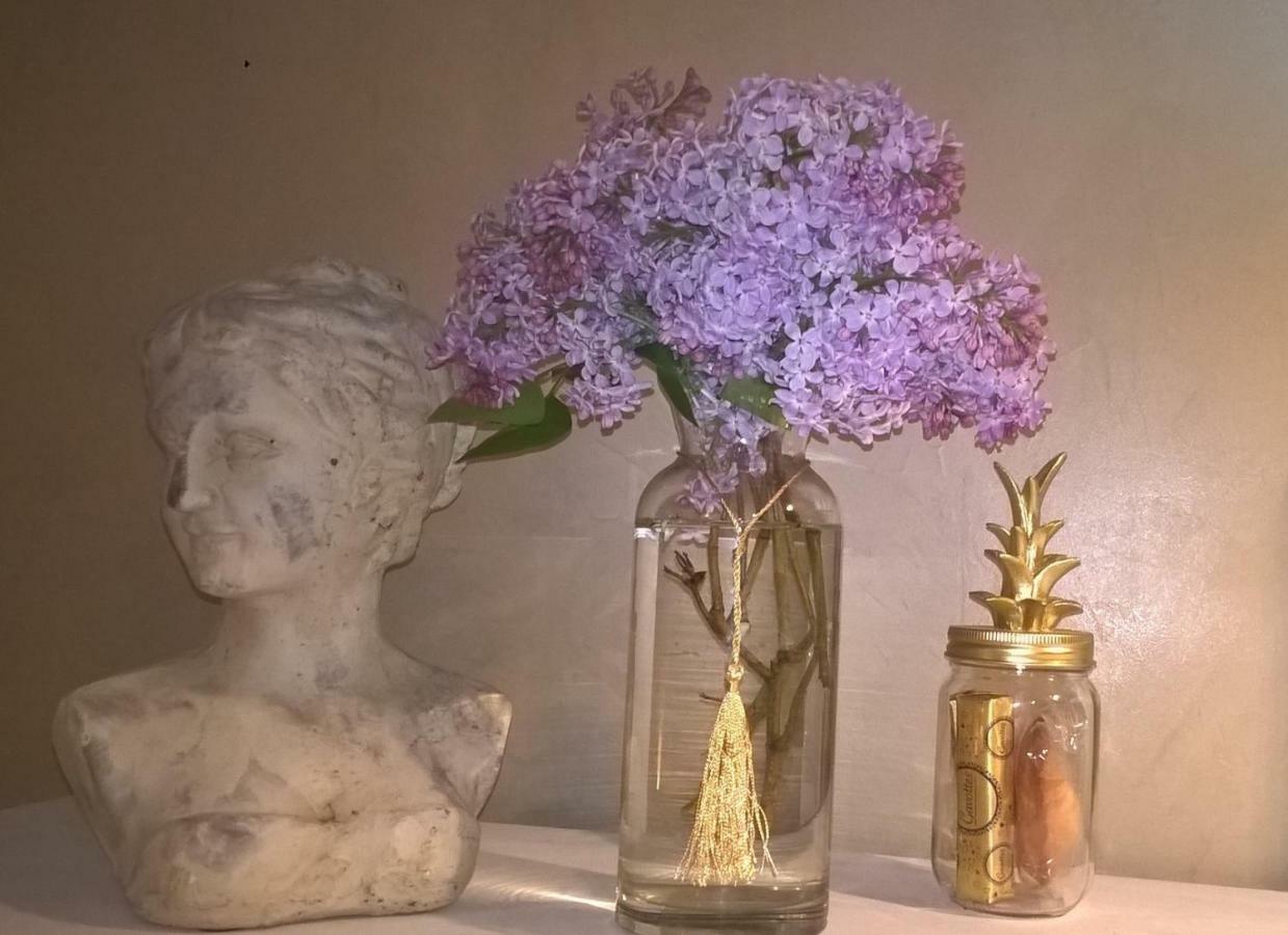 Le Clos Manceau Bed & Breakfast Le Mans Eksteriør bilde